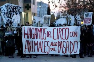 Hagamos del circo con animales algo del pasado