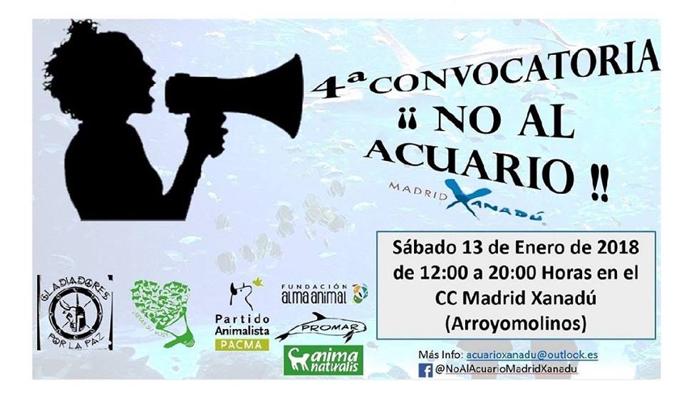 Image Result For Convocatoria Espana Image Result For Convocatoria Espana
