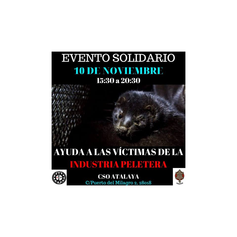 Tarde solidaria por las víctimas de la industria peletera