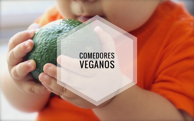 Iniciativas por una opción vegana en los comedores escolares de España