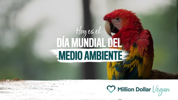 Go vegan en el Día Mundial del Medio Ambiente