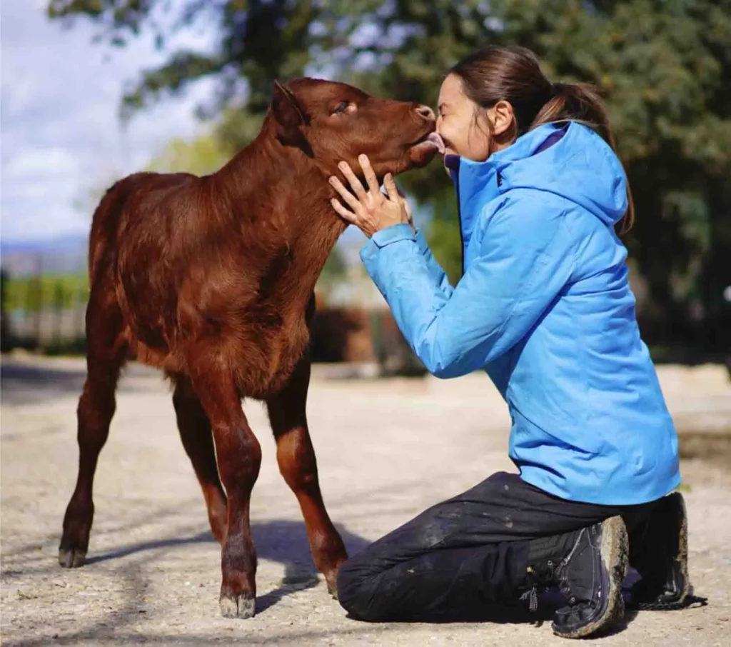 Santuario Vegan pide más protección a los animales