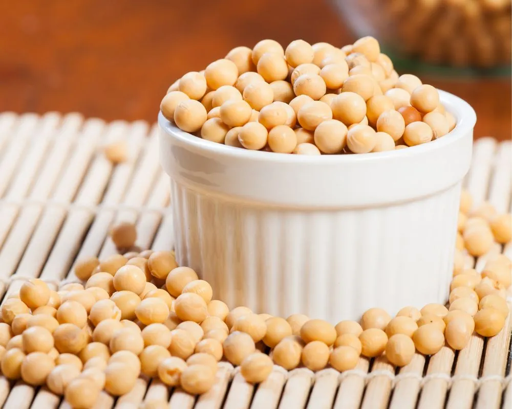 Dieta vegana y menopausia