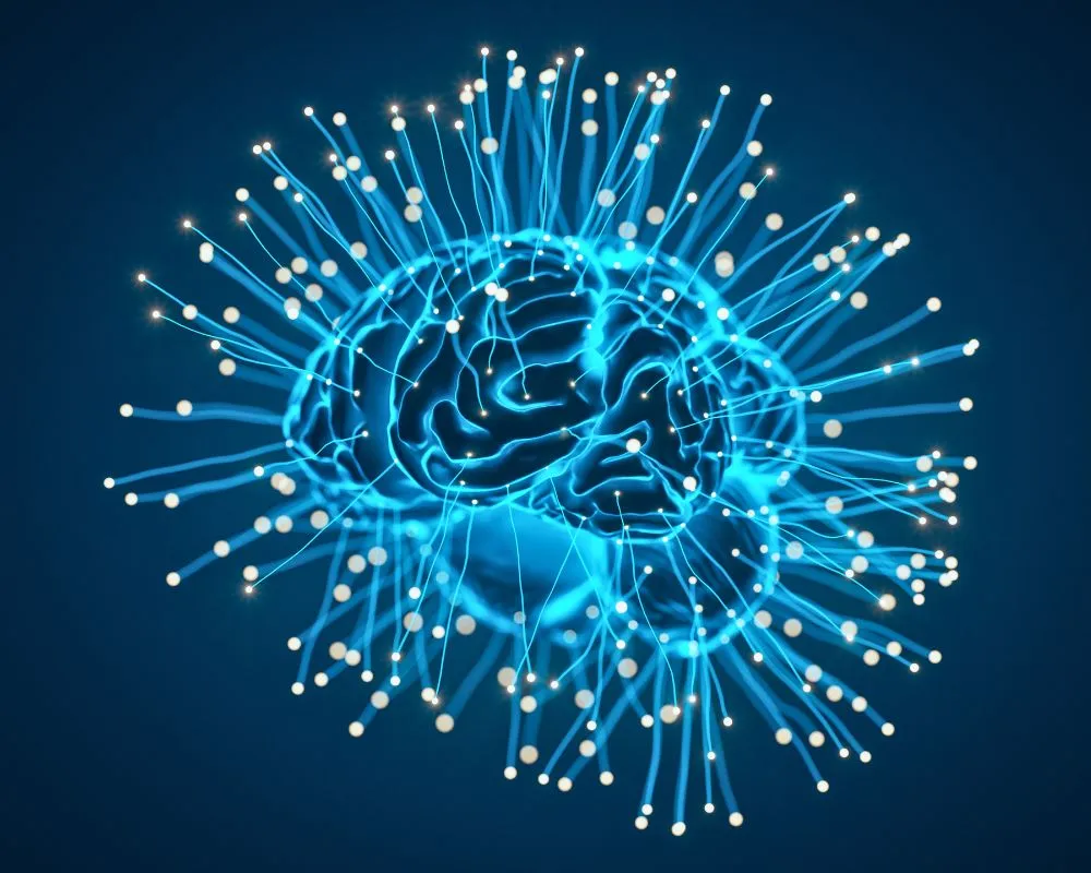Dieta vegana y cerebro