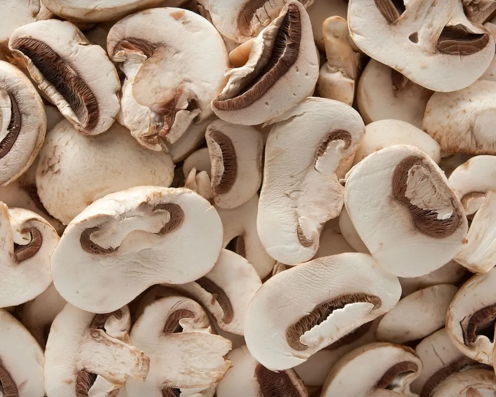 Recetas veganas con champiñones