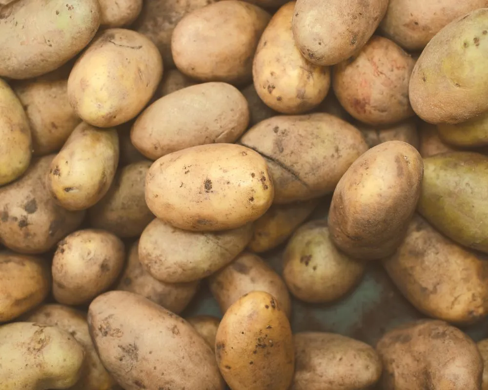 Recetas veganas completas con patata