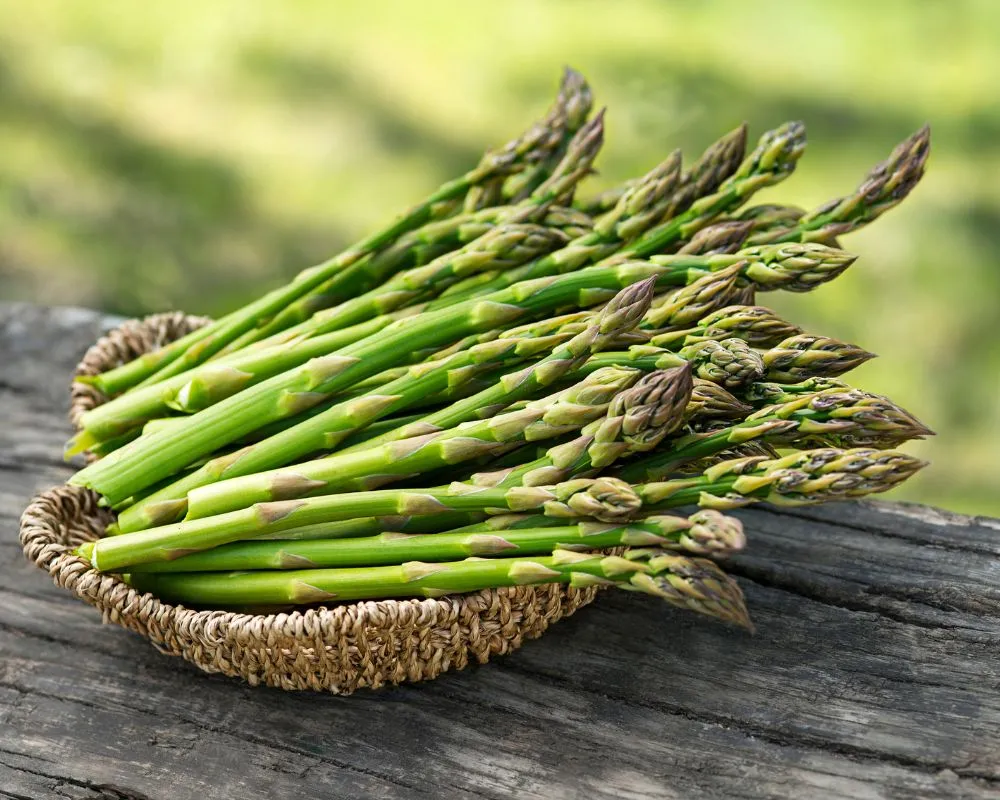 Recetas veganas con espárragos verdes