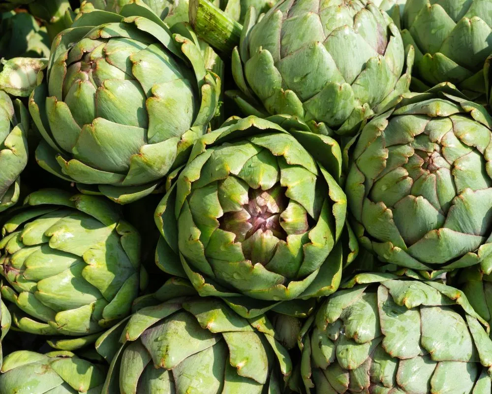 Recetas veganas y sencillas con alcachofas