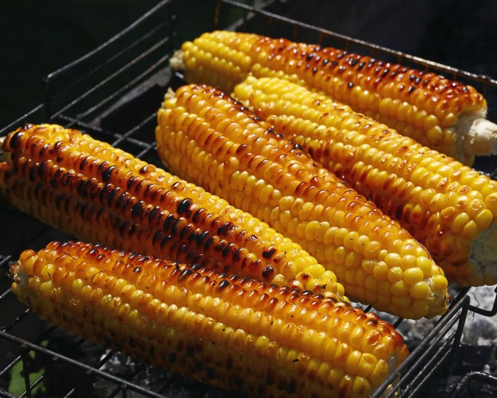 Recetas veganas para tu barbacoa de verano  