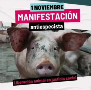 Manifestación antiespecista 2026 en Madrid
