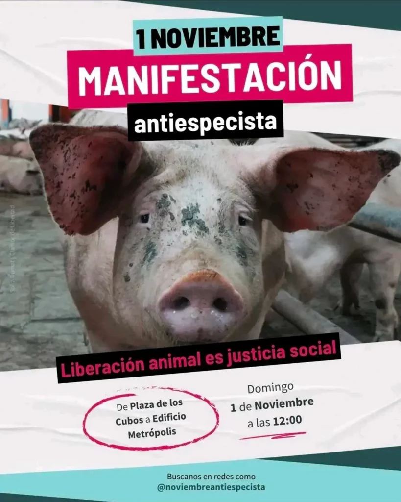 Manifestación antiespecista 2026 en Madridf
