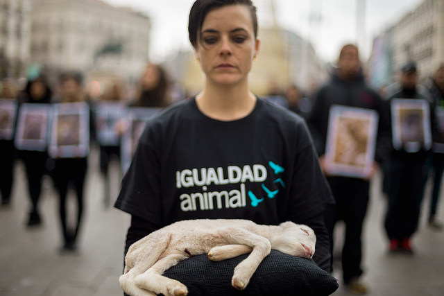 Acto por el Día de los derechos animales en Madrid (Igualdad Animal)