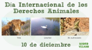 Día de los derechos animales