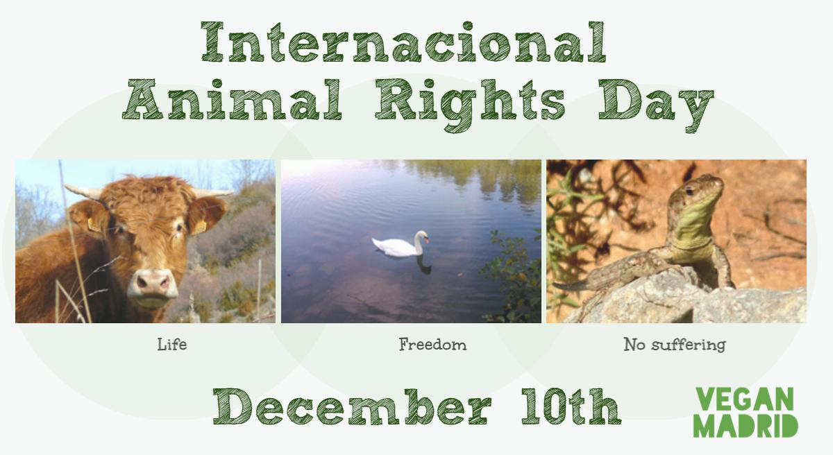 Animal Rights Day
