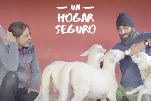 #UnHogarSeguro, la campaña de Wings of Heart para cubrir las necesidades de sus habitantes