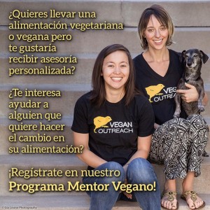 Programa "Mentor vegano" en Madrid
