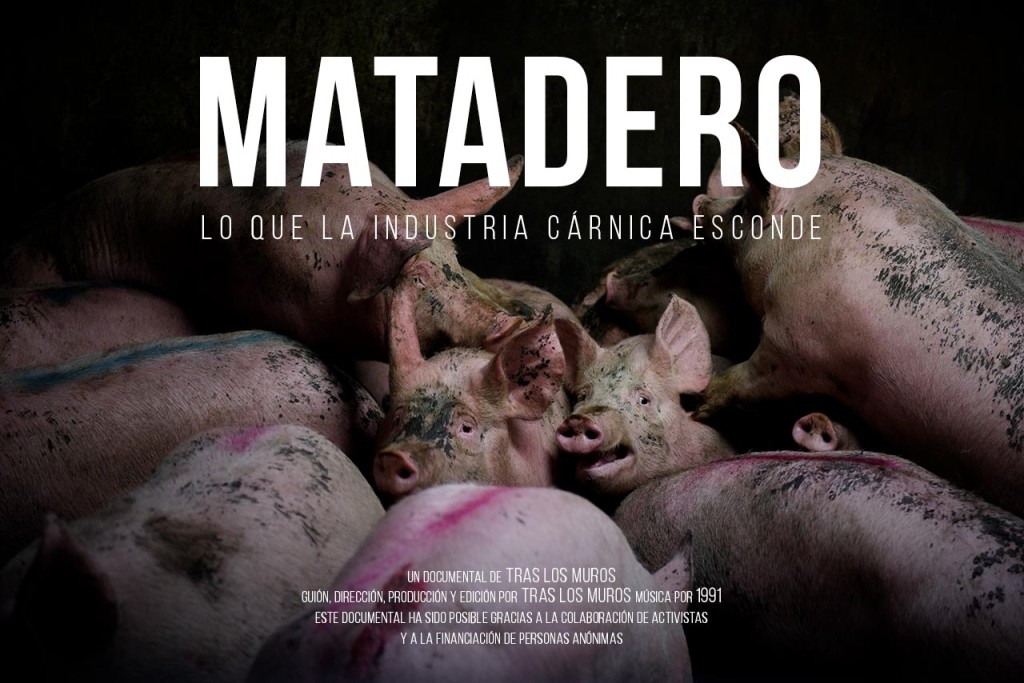 Cartel documental MATADERO