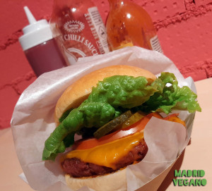 hamburguesa-primer-plano-botesl-fantasticv