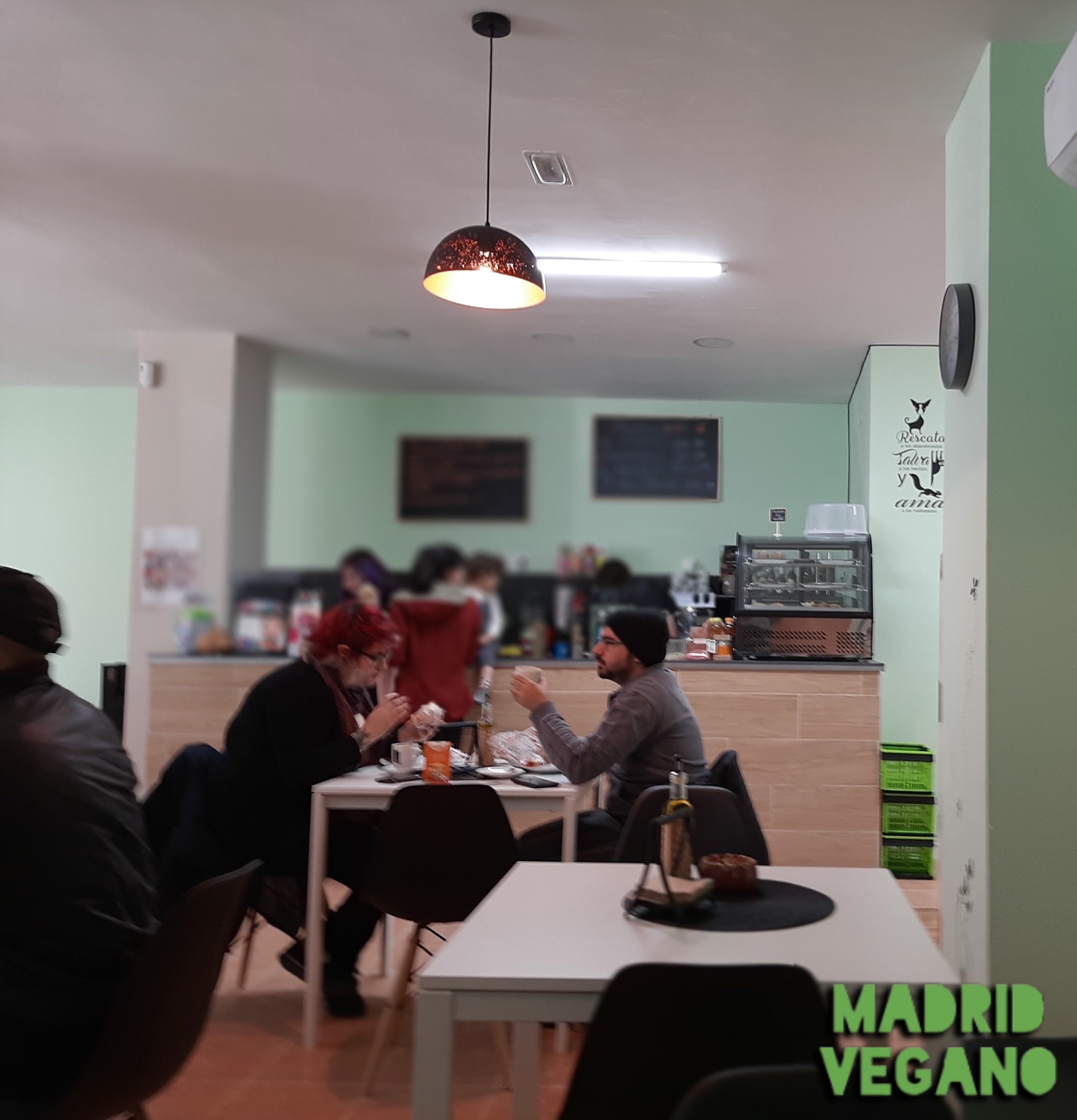 VeggieU, nueva tienda y cafetería vegana en Vallecas