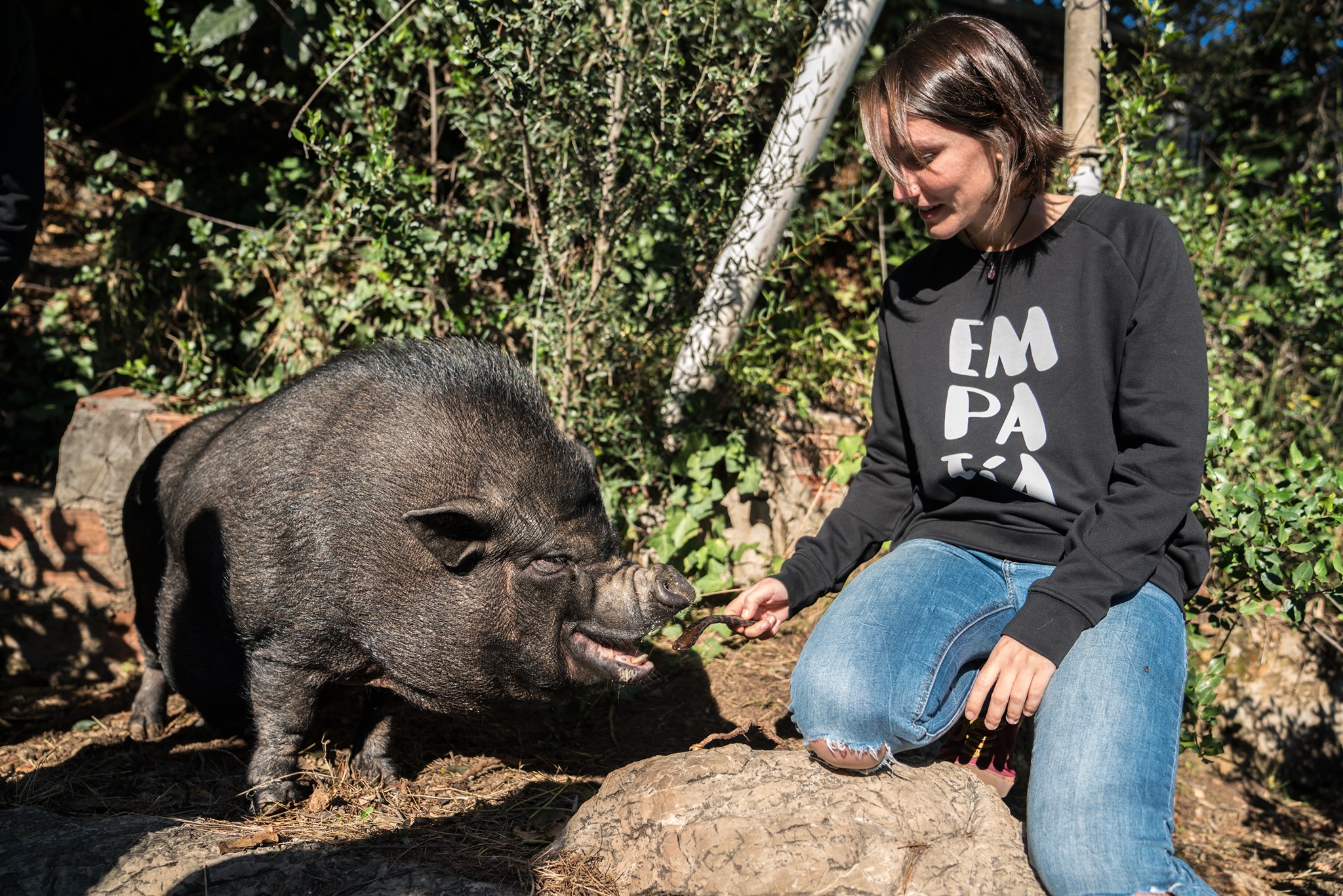 Ropa y veganos para todos los gustos