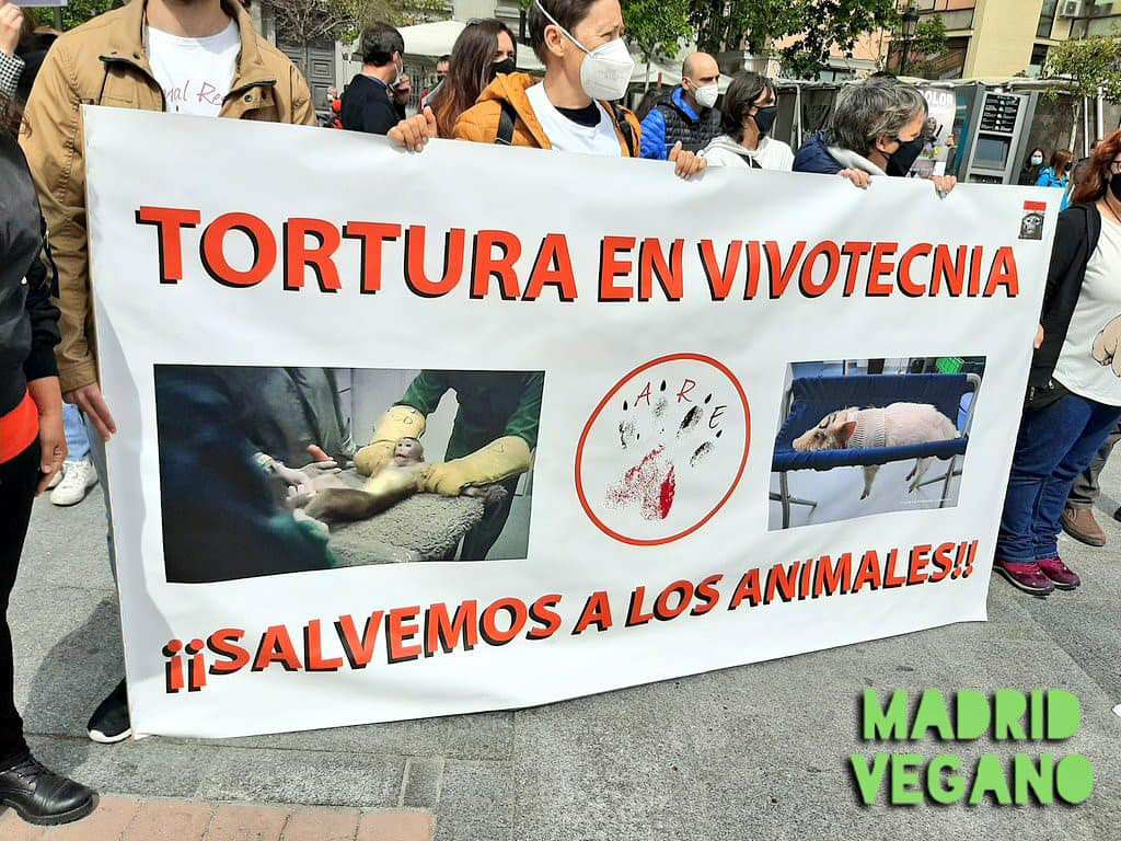 Día Internacional del Animal de Laboratorio: existen alternativas cruelty-free