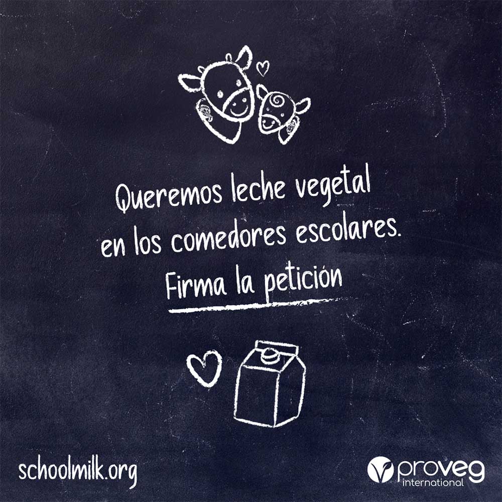 leches vegetales en las escuelas