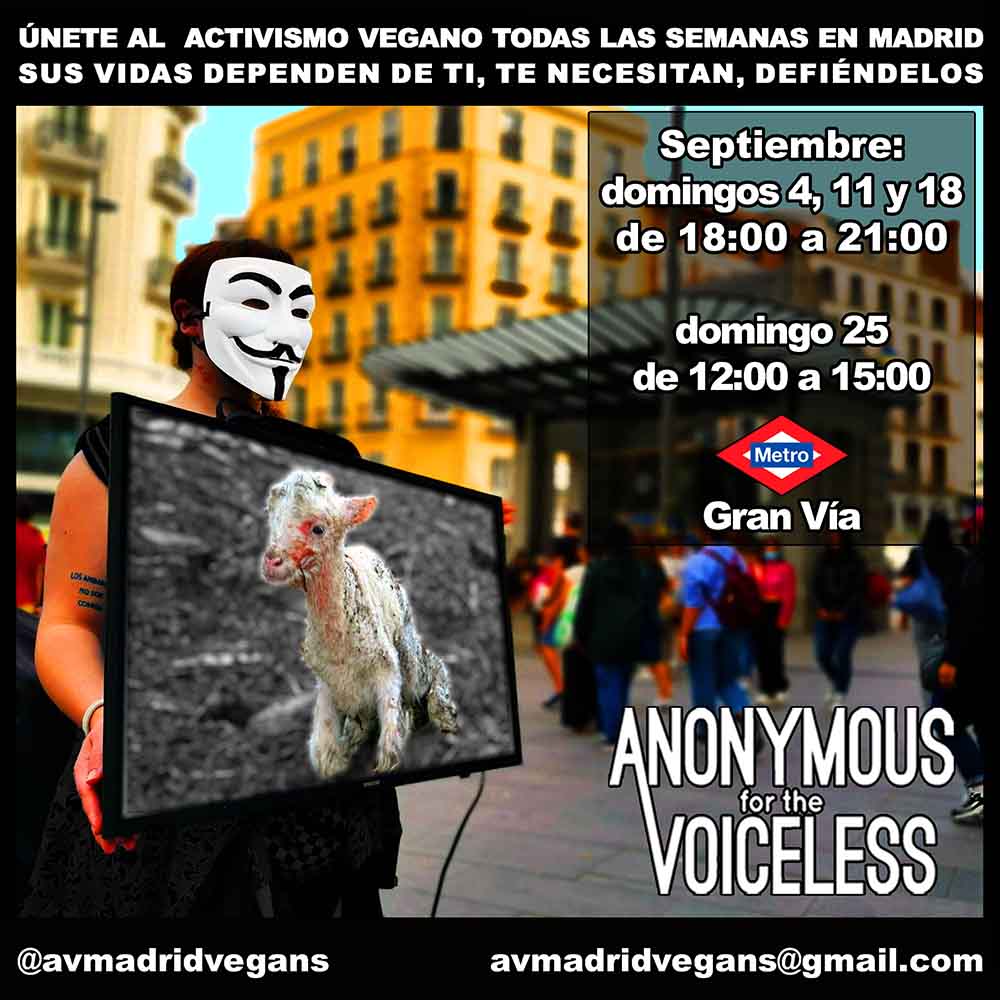 Activismo vegano en Madrid - Anonymous for the voiceless