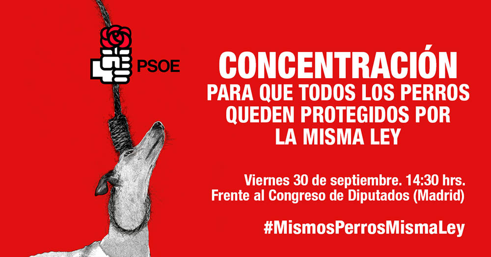 todos los perros