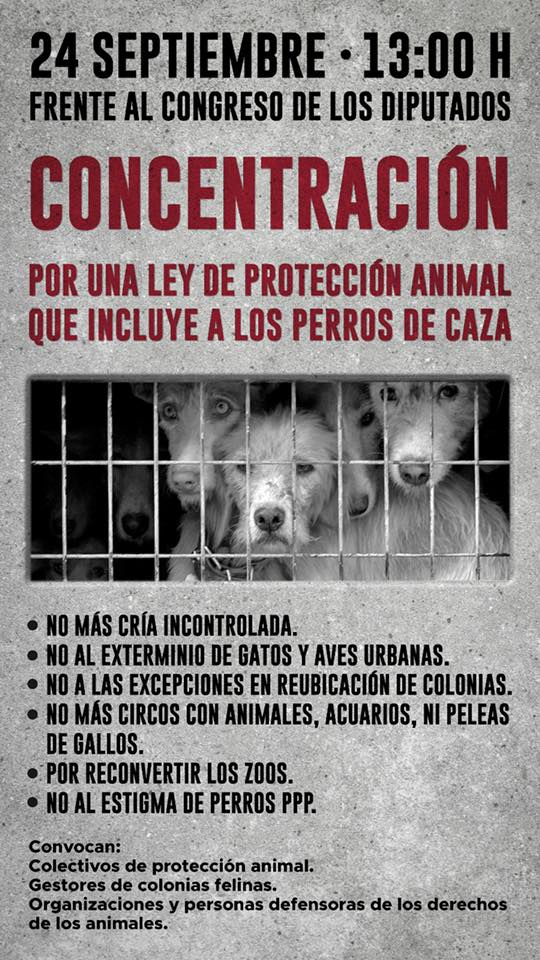 Concentración en apoyo a la primera Ley Estatal de Protección Animal