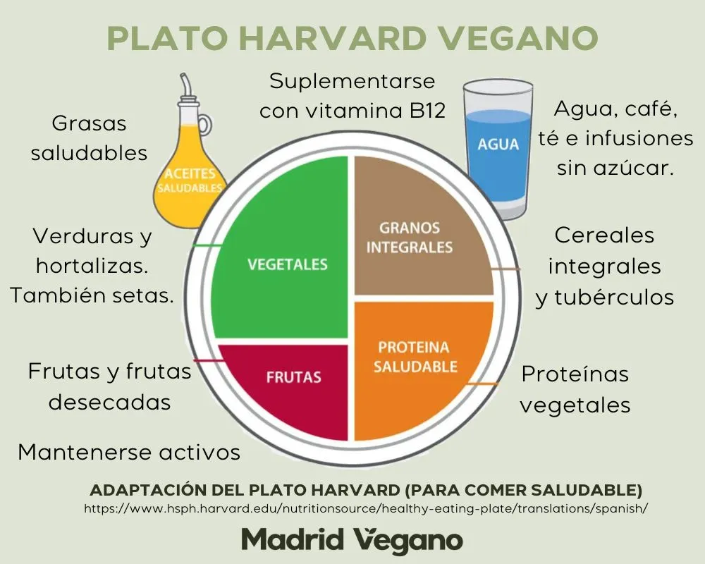 Plato Harvard vegano