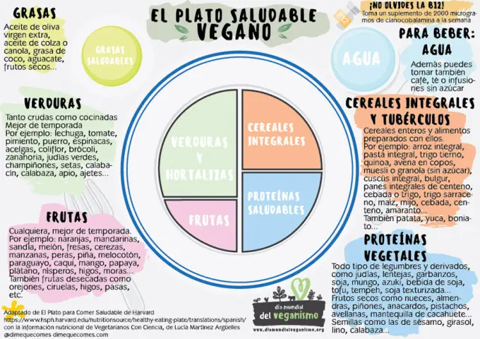 El plato Harvard vegano es una adaptación para personas con una dieta 100 % vegetal del popular plato Harvard o plato para comer saludable.