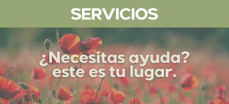 Servicios de Madrid Vegano