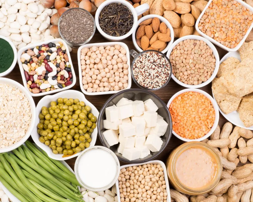 proteína vegetal en Europa