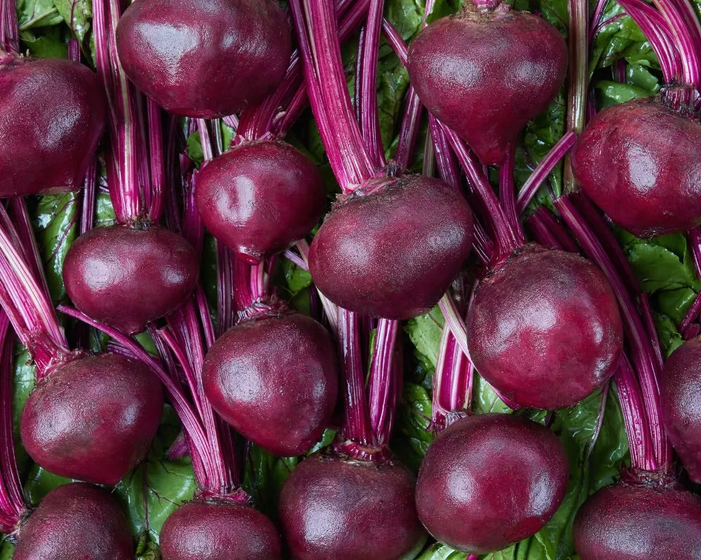 Frutas y verduras de temporada en agosto