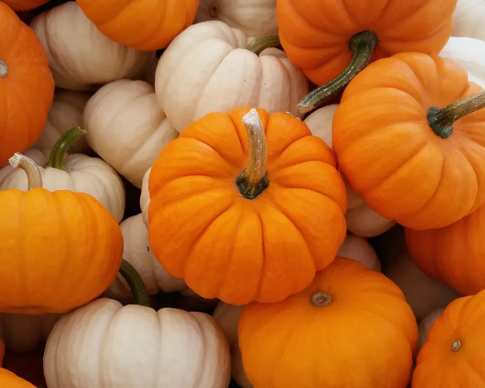 Frutas y verduras de temporada en septiembre