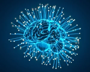 Dieta vegana y cerebro