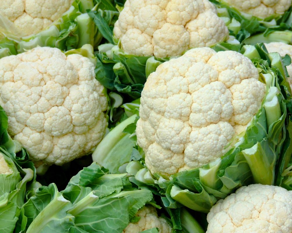 Frutas y verduras de temporada en noviembre