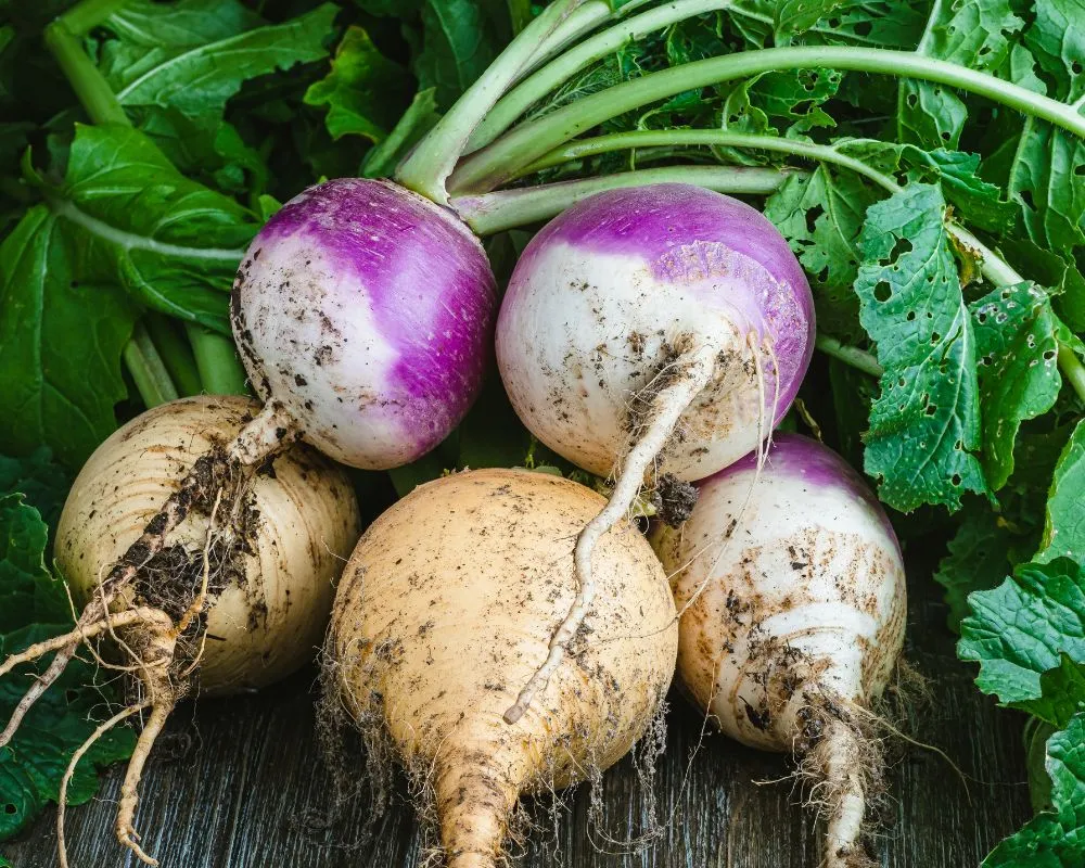 Frutas y verduras de temporada en diciembre