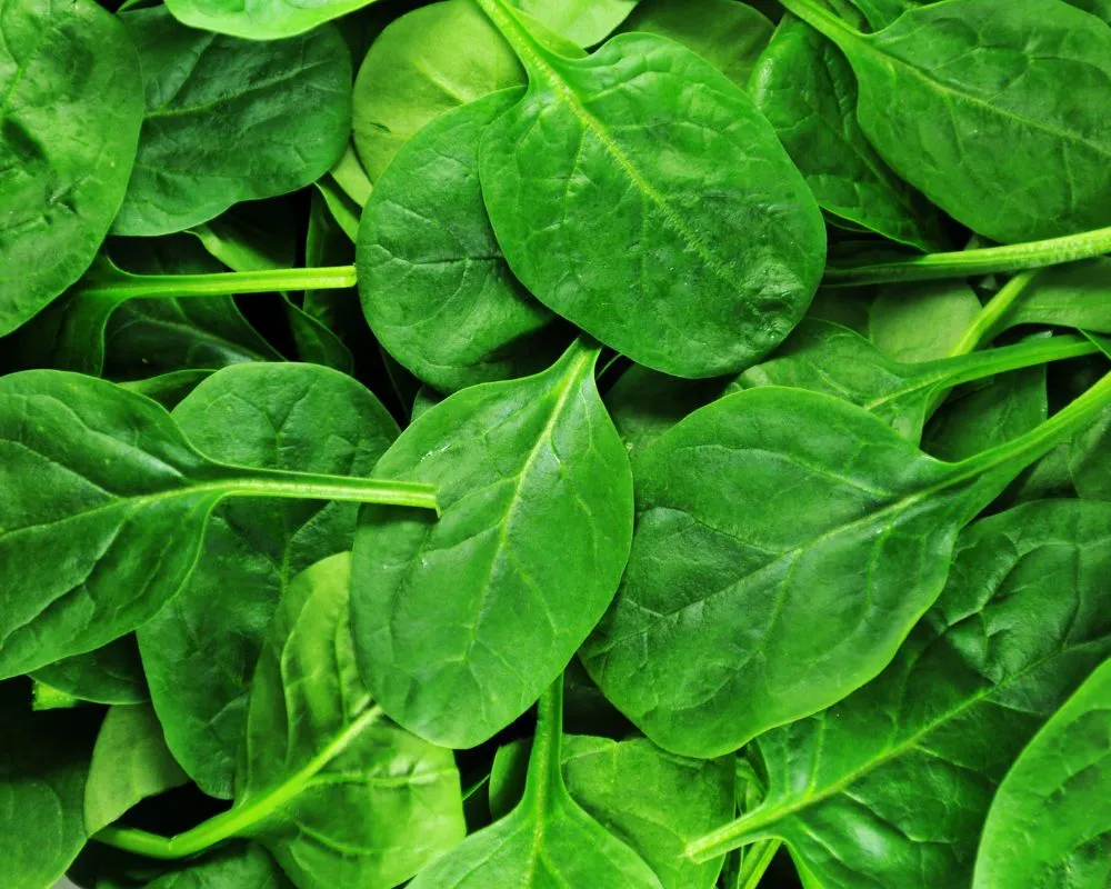 Recetas veganas con espinacas