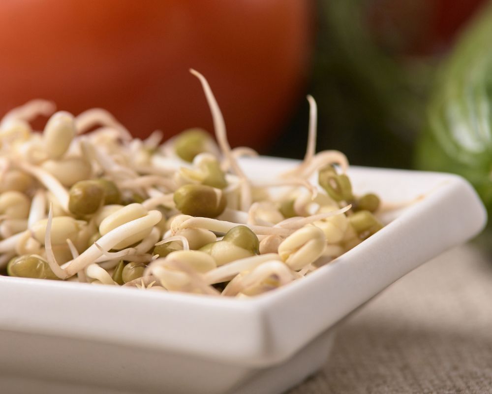 Recetas veganas altas en proteínas y sin legumbres