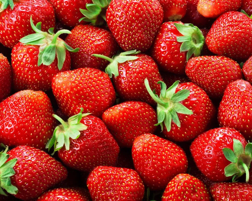 Recetas con fresas (veganas)