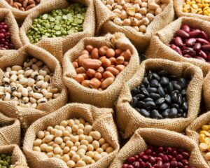 El papel de las legumbres en la microbiota y control glucémico