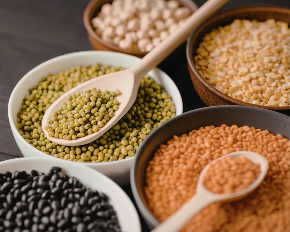 El papel de las legumbres en la microbiota y control glucémico 