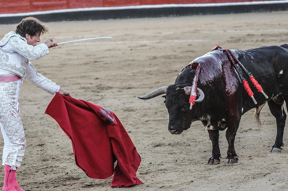 PETA pide al papa que rompa el vínculo de la Iglesia con el maltrato animal